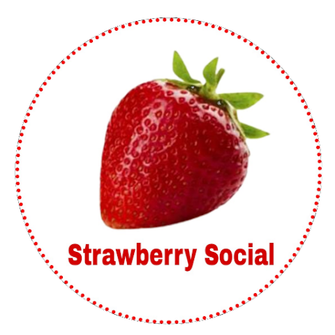 دانلود فیلتر شکن STRAWBERRY SOCIAL VPN با لینک مستقیم