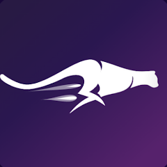 راه اندازی رایگان فیلتر شکن Cita VPN برای ورود به سایت خارجی