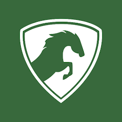 بررسی ویژگی‌ های فیلتر شکن Kayo VPN برای رفع تحریم اینستاگرام